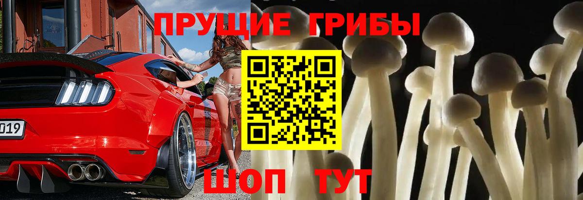 Галлюциногенные грибы Magic Shrooms  наркота  Ликино-Дулёво  Вход с VPN 